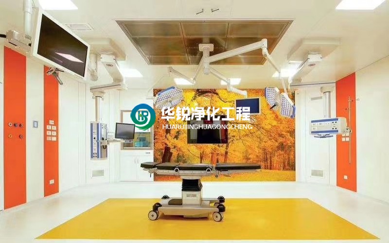 ICU净化星空电子-星空电子（中国）
